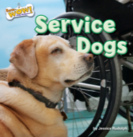 Service Dogs