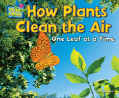 How Plants Clean the Air