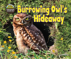 Burrowing Owl’s Hideaway