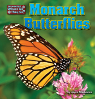 Monarch Butterflies