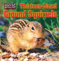 Thirteen-Lined Ground Squirrels