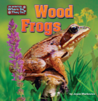 Wood Frogs