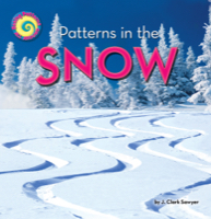 Patterns in the Snow