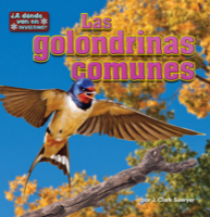 Las golondrinas comunes/Barn Swallows