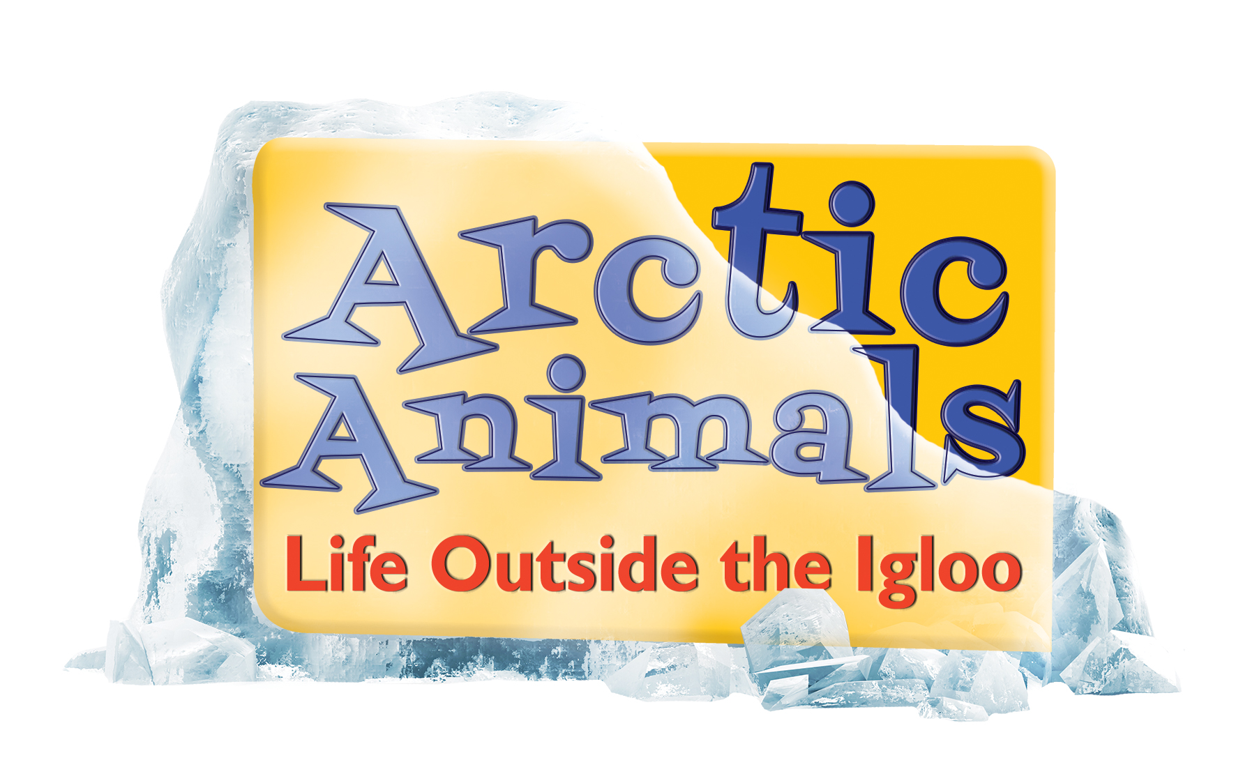 Arctic Animals: Life Outside the Igloo
