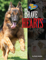 Brave Hearts