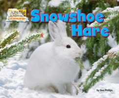 Snowshoe Hare
