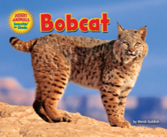 Bobcat