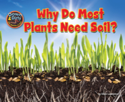 Why Do Most Plants Need Soil?