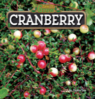 Cranberry