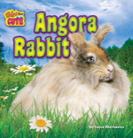 Angora Rabbit