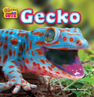 Gecko