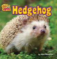 Hedgehog