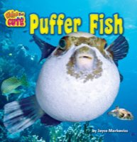 Puffer Fish