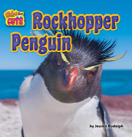 Rockhopper Penguin