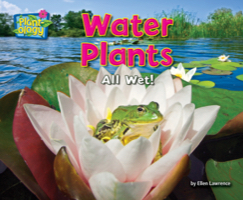 Water Plants