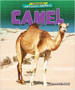 Camel