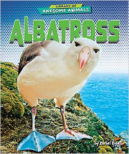 Albatross