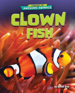 Clown Fish