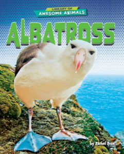 Albatross
