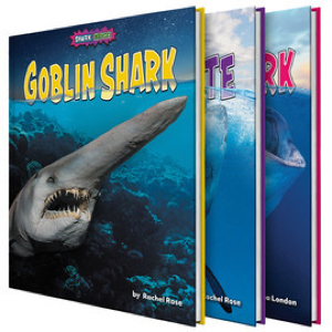 Shark Shock!