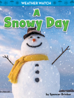 A Snowy Day
