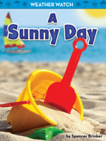 A Sunny Day