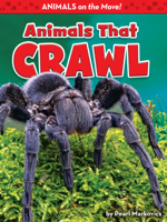 Animals That Crawl