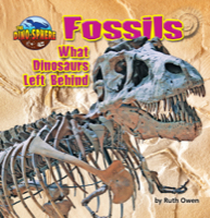 Fossils