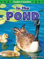 In the Pond