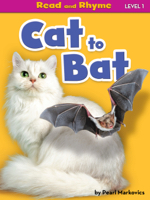 Cat to Bat