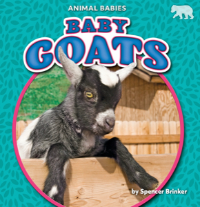 Baby Goats