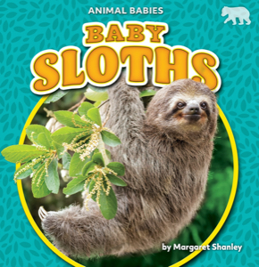 Baby Sloths