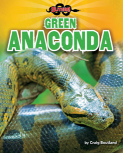Green Anaconda