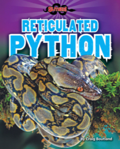 Reticulated Python