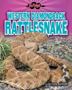 Western Diamondback Rattlesnake