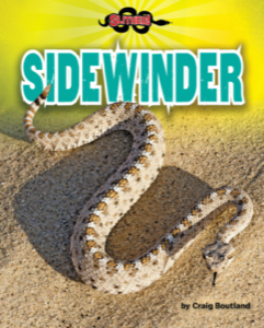 Sidewinder
