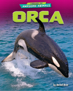 Orca