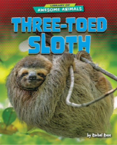 Three-Toed Sloth