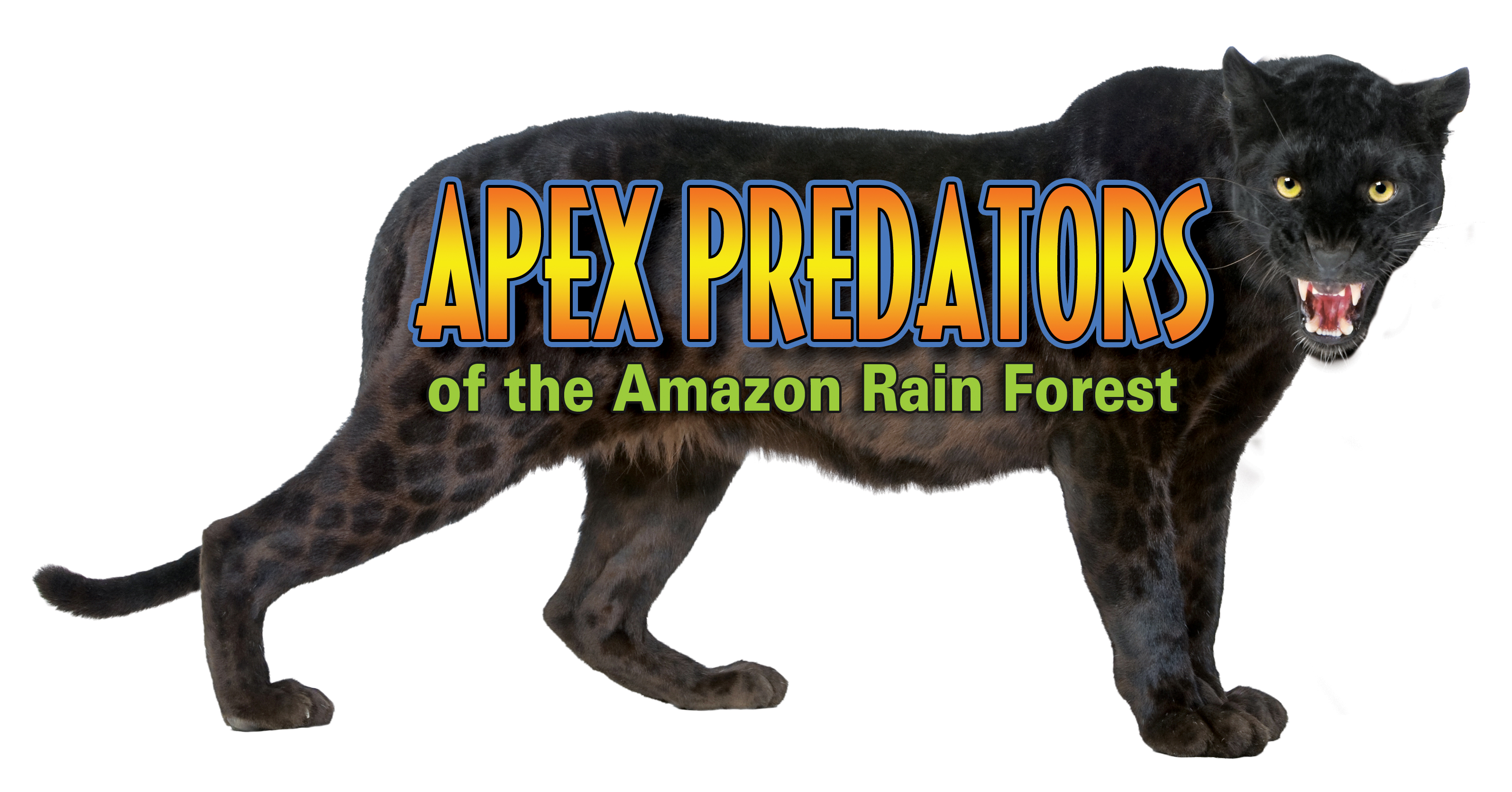 Apex Predators of the Amazon Rain Forest