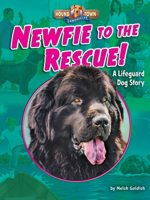 Newfie to the Rescue!