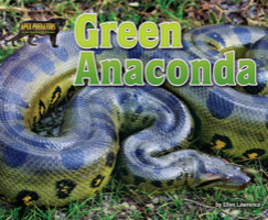 Green Anaconda