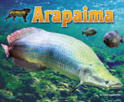 Arapaima