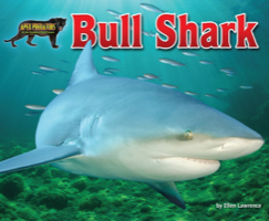 Bull Shark