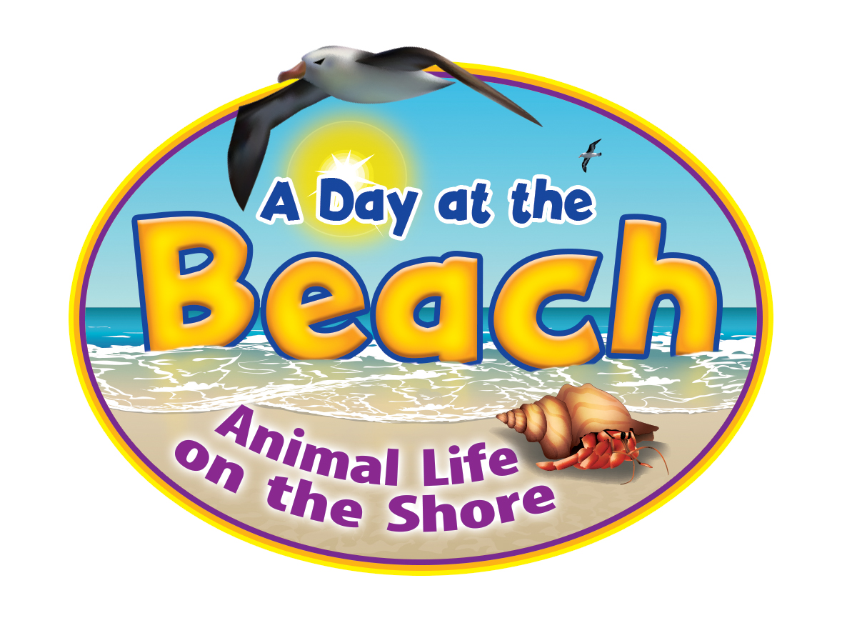 A Day at the Beach: Animal Life on the Shore
