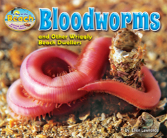 Bloodworms and Other Wriggly Beach Dwellers