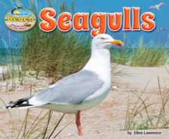 Seagulls