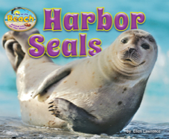 Harbor Seals