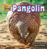Pangolin