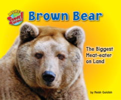 Brown Bear